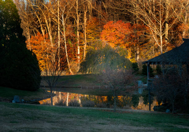 istock Autumn colors over a lake 1794886616