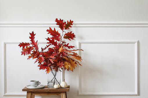 Red oak tree leaves, branches in vase. Cup of coffee, little white pumpkins on old wooden side table, bench. Autumn interior. Empty wall with decorative moulding, Thanksgiving, Halloween holiday.