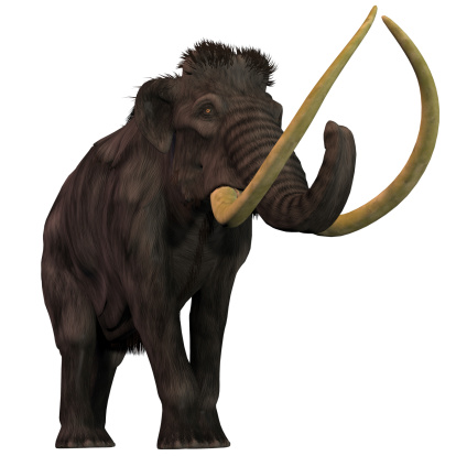 Woolly Mammoths are extinct herbivorous mammals that lived from the Pleistocene to the Holocene Periods.