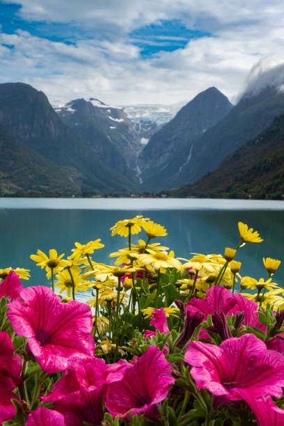 istock Glamping - Luxury camping in Norway in the Fjords 1794909430