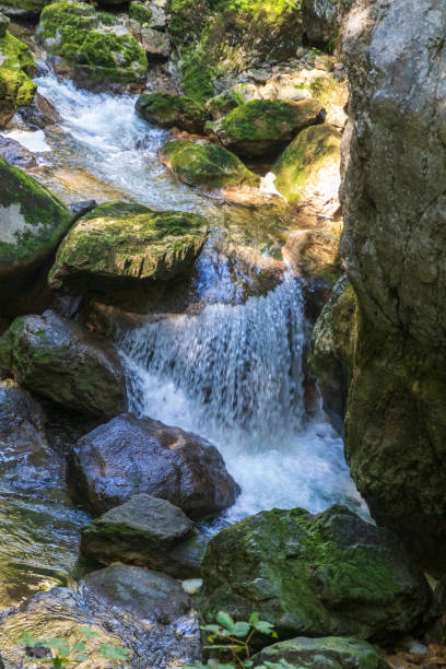 istock Areuse gorges in Switzerland. River with may waterfalls. 1794912261