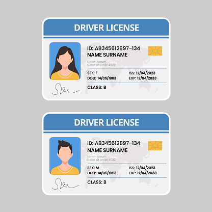 Car driver license with photo isolated on white background. Identification card. Vector stock