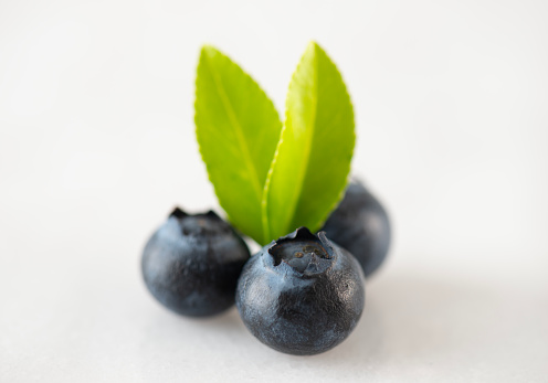 Fresh, healthy blueberries in a white bowl sitting on a white marble counter top. Shot with H4D-40.