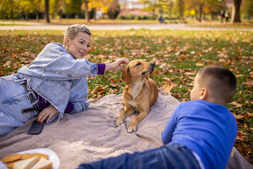 A mid adult Caucasian mother and son on a picnic together with a dog