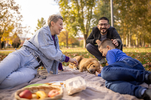 A Caucasian family having a picnic together with a dog in a public park