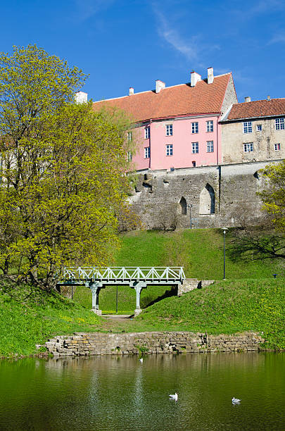 istock Spring in park of Tallinn 179498432