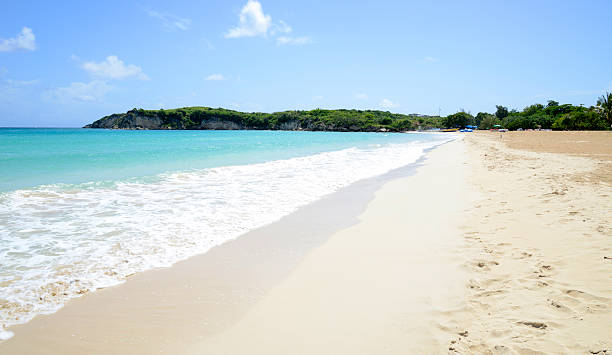 istock Macao Beach in the Dominican Republic 179498759