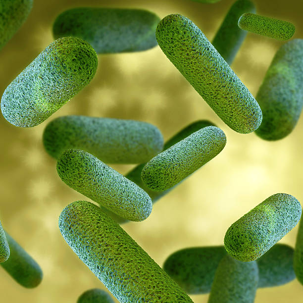 ilustración 3d prestado de bacterias - cell human cell plant cell virus fotografías e imágenes de stock