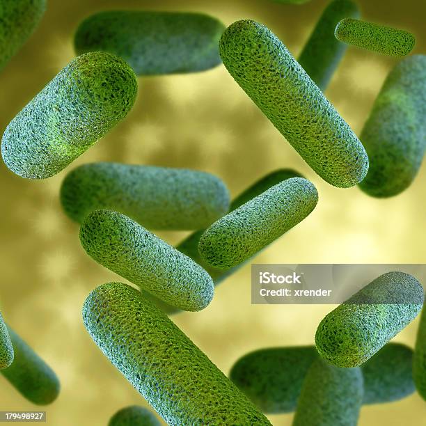 Bacteria 3d Rendered Illustration Stock Photo - Download Image Now - Bacterium, Positive Emotion, Alternative Therapy