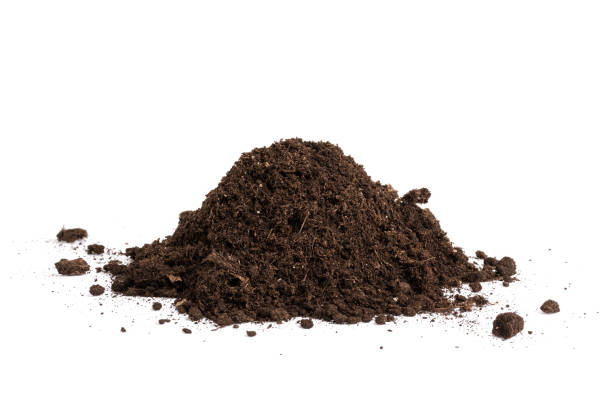 istock Pile of soil 1794994352