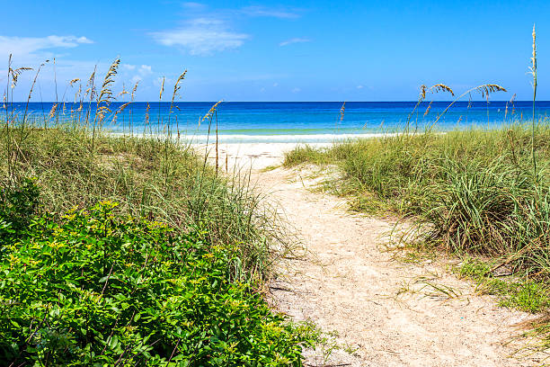 istock Pathway to Beach with Sea Oats and Beach Vegetation. 179500490