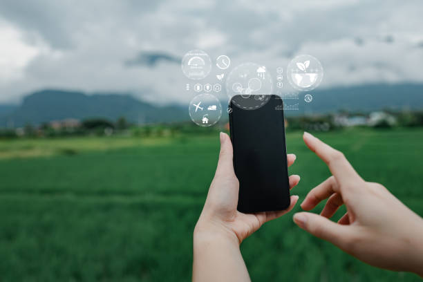 istock Concepts reducing carbon dioxide emissions, campaigns to destroy the environment and reduce global warming, balancing the air, using technology to prevent Co2 emissions, using renewable energy. 1795005367