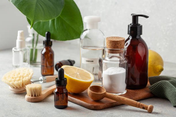 zero waste eco friendly cleaning concept. wooden brushes, baking soda, vinegar