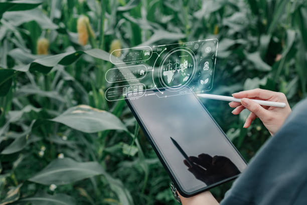 istock Concepts reducing carbon dioxide emissions, campaigns to destroy the environment and reduce global warming, balancing the air, using technology to prevent Co2 emissions, using renewable energy. 1795005783