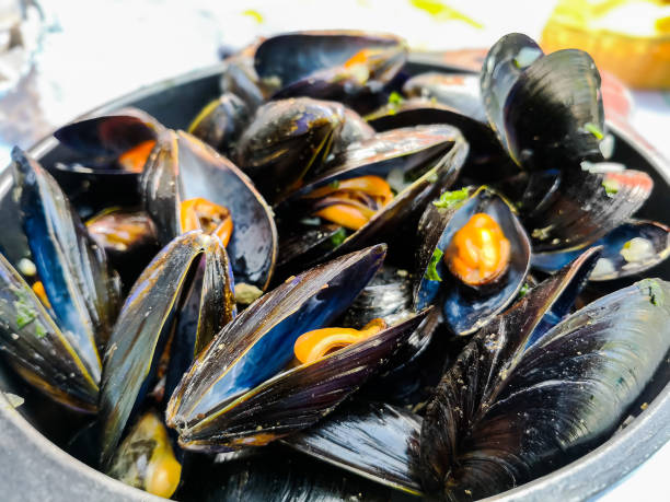 istock Italian Steamed Mussels cooked in Provencale style 1795008572