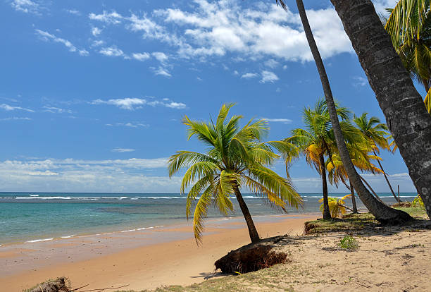 istock Brazil, Taipu de Fora 179501325