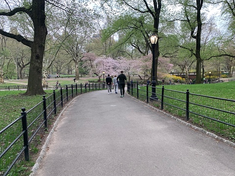 New York, NY, USA April 19 A group of people take a walk on the path in New York's Central Park on a spring day