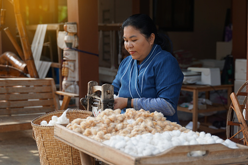 Asian female tourist spins cotton to remove the seeds in a manual cotton gin at the demonstration point of the community weaving center. Soft and selective focus.