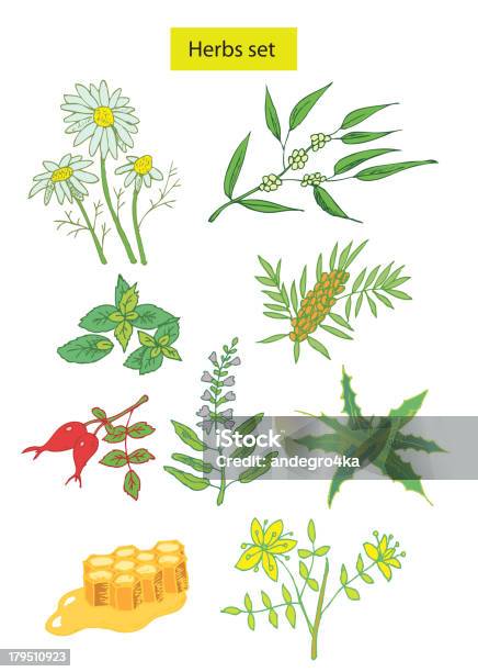 Zioła Szczegółowa Ilustracja Zestawu - Stockowe grafiki wektorowe i więcej obrazów Aloes - Aloes, Liść mięty - przyprawa, Rumianek