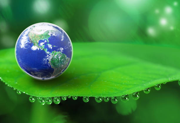 istock Sustainable development for save green world and water concept 1795110047