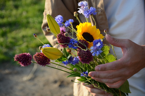 Close up of man holding freshly cut bouquet of flowers on a sunny day. This mixed bouquet was self-picked by customers on this farm.