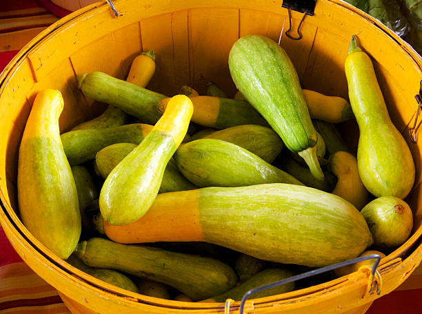 istock Yellow and Green Summer Squash at Market 179511987