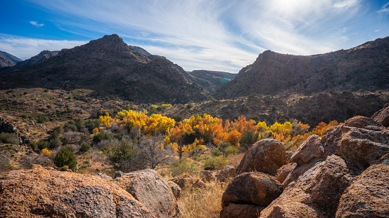 Sycamore Creek hosts a variety of fall foliage in Tonto National Forest