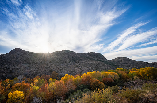 Aerial drone view, high altitudes, open air. Extreme mountainous region. Season is autumn. Yellowing meadows. Yellowing trees.