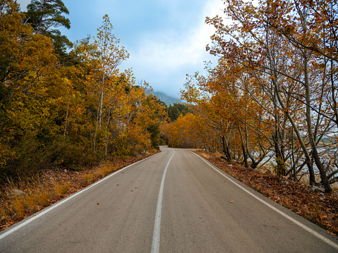 Autumnal road in Isparta, Turkey. Taken via medium format camera.