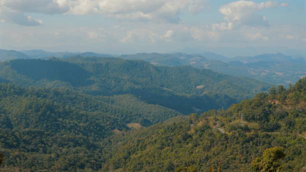 istock Panoramic landscape of forest in mountainous region 1795132880