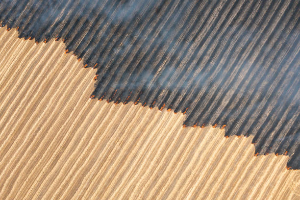 A farmer in his tractor cultivates the earth trying to contain a wheat field fire believed to be ignited by the harvester striking a rock.