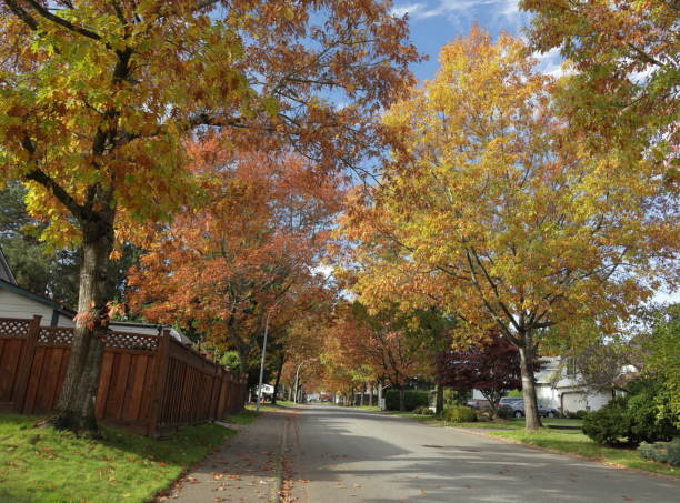 istock Autumn Colors in Surrey, British Columbia, Canada 1795140342