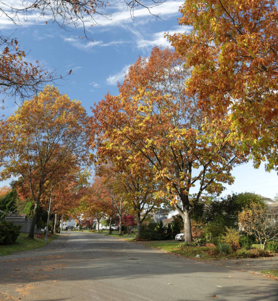 istock 95th Avenue in Surrey, British Columbia, Canada 1795140878