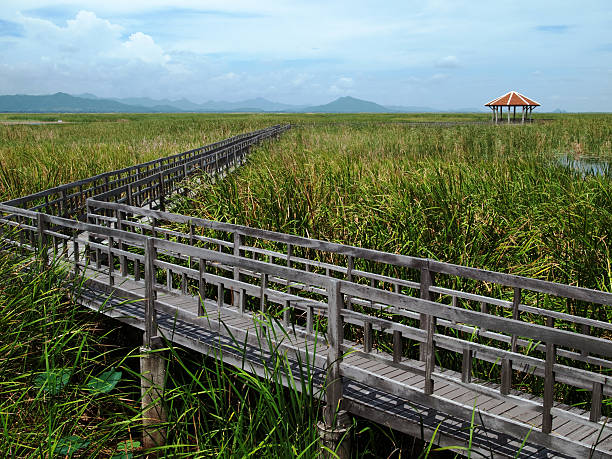 istock Sam King Yod National Park_002 179514727