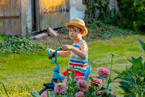 Cute little boy on bike in backyard in summer