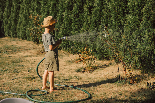 little boy playing with a water hose in the garden, watering flowers and the lawn