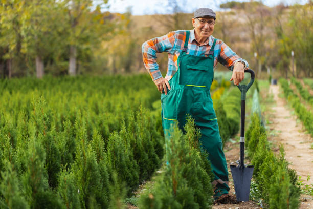 istock Elderly Gardener's Cheerful Portrait 1795180726