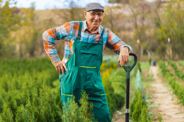 istock Elderly Gardener's Cheerful Portrait 1795181794