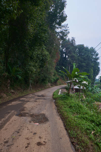 istock The Narrow, Worn Path Weaving Amidst Green Forests, Suitable for Just One Car 1795186222