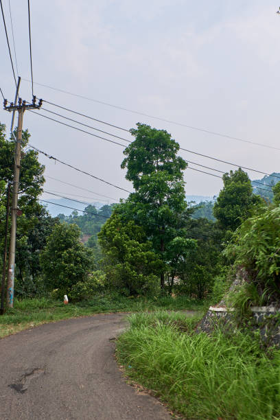 istock The Narrow, Worn Path Weaving Amidst Green Forests, Suitable for Just One Car 1795186747