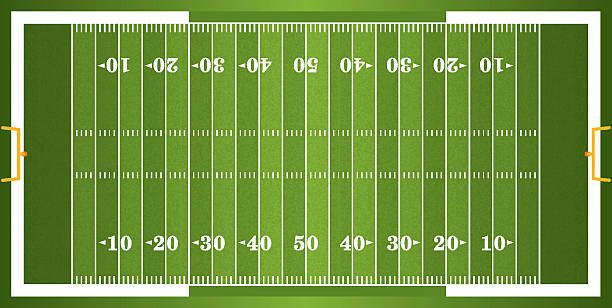 bildbanksillustrationer, clip art samt tecknat material och ikoner med textured grass american football field - fields