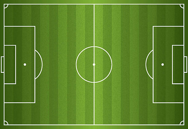 illustrazioni stock, clip art, cartoni animati e icone di tendenza di realistico vettoriale calcio sul campo di calcio - campo da calcio