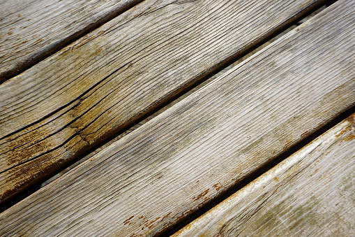 Wooden background. Wood.