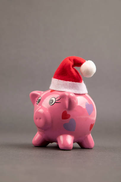 istock Piggy bank with Santa hat 1795225818