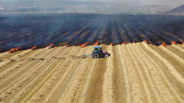 Fire in farm land. Wheat Field Fire.