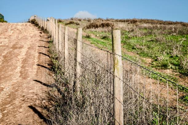 istock Landscape in portugal 1795237571