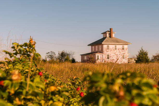 Abandoned Pink House