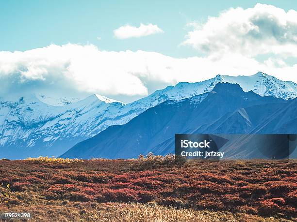デナリ国立公園 - アメリカ合衆国のストックフォトや画像を多数ご用意 - アメリカ合衆国, アラスカ, アラスカ文化