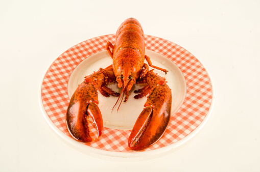 Photo picture of a delicious freshly steamed lobster