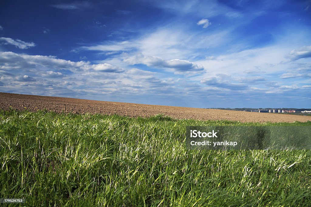 Der eröffnete field - Lizenzfrei Agrarbetrieb Stock-Foto
